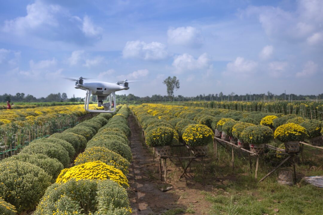 bachelor-of-science-in-agriculture-bsc-agriculture-your-ultimate-guide